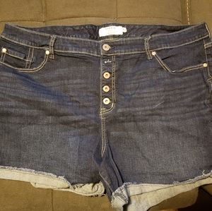 Torrid 5 button fly dark wash shorts